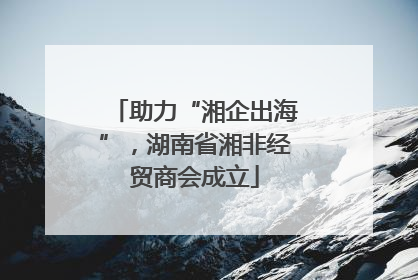 助力“湘企出海”，湖南省湘非经贸商会成立