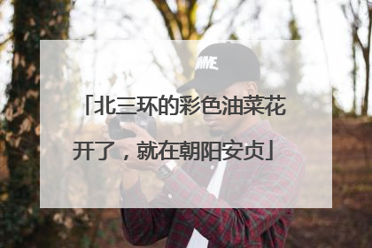 北三环的彩色油菜花开了，就在朝阳安贞