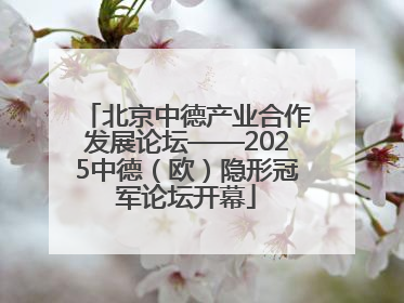 北京中德产业合作发展论坛——2025中德（欧）隐形冠军论坛开幕