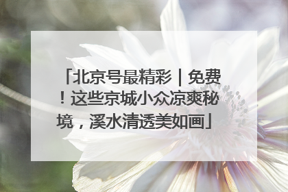 北京号最精彩｜免费！这些京城小众凉爽秘境，溪水清透美如画