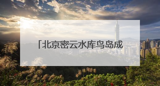 北京密云水库鸟岛成了生态“训练场”