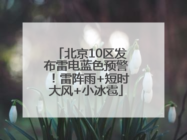 北京10区发布雷电蓝色预警！雷阵雨+短时大风+小冰雹