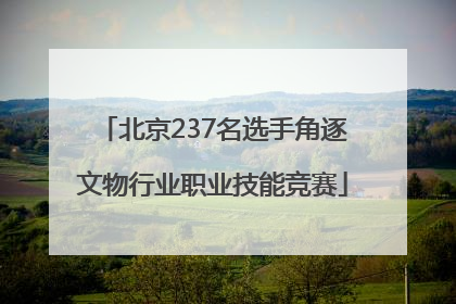北京237名选手角逐文物行业职业技能竞赛