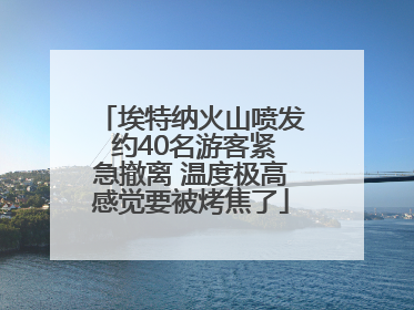 埃特纳火山喷发 约40名游客紧急撤离 温度极高感觉要被烤焦了