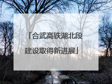 合武高铁湖北段建设取得新进展