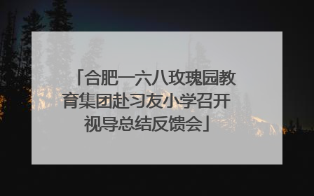 合肥一六八玫瑰园教育集团赴习友小学召开视导总结反馈会