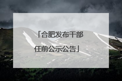 合肥发布干部任前公示公告