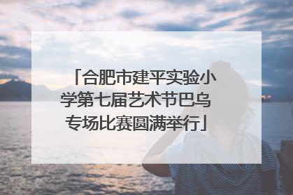 合肥市建平实验小学第七届艺术节巴乌专场比赛圆满举行