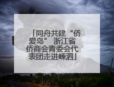 同舟共建“侨爱岛” 浙江省侨商会青委会代表团走进嵊泗