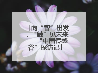 向“智”出发，“触”见未来——“中国传感谷”探访记