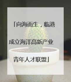 向海而生，临港成立海洋高新产业青年人才联盟