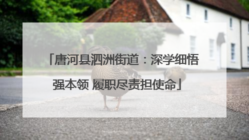 唐河县泗洲街道：深学细悟强本领 履职尽责担使命