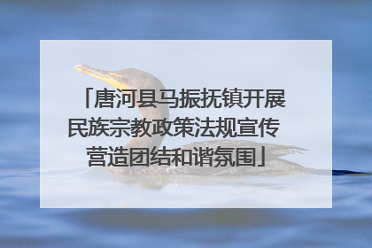 唐河县马振抚镇开展民族宗教政策法规宣传 营造团结和谐氛围