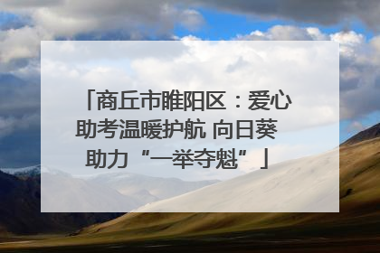 商丘市睢阳区：爱心助考温暖护航 向日葵助力“一举夺魁”