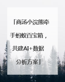 商汤小浣熊牵手蚂蚁百宝箱，共建AI+数据分析方案