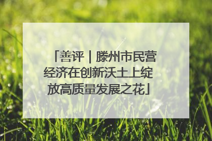 善评｜滕州市民营经济在创新沃土上绽放高质量发展之花