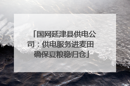 国网延津县供电公司：供电服务进麦田 确保夏粮稳归仓