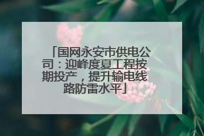 国网永安市供电公司：迎峰度夏工程按期投产，提升输电线路防雷水平
