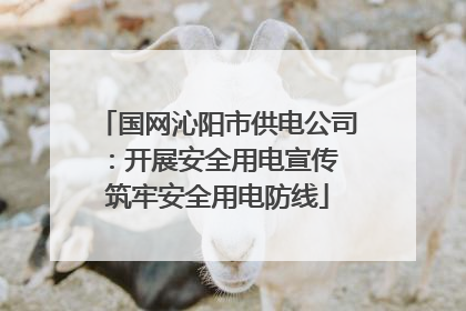 国网沁阳市供电公司：开展安全用电宣传 筑牢安全用电防线