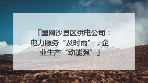 国网沙县区供电公司：电力服务“及时雨”，企业生产“动能强”