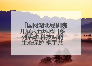 国网湖北经研院开展六五环境日系列活动 科技赋能生态保护 携手共建绿色电网
