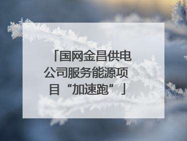 国网金昌供电公司服务能源项目“加速跑”