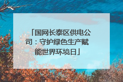 国网长泰区供电公司：守护绿色生产赋能世界环境日