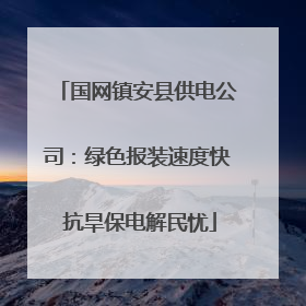 国网镇安县供电公司：绿色报装速度快 抗旱保电解民忧