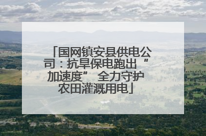 国网镇安县供电公司：抗旱保电跑出“加速度” 全力守护农田灌溉用电
