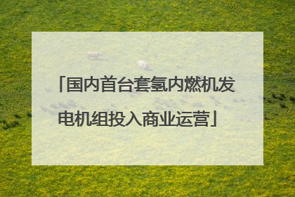 国内首台套氢内燃机发电机组投入商业运营