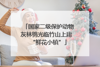国家二级保护动物灰林鸮光临竹山上庸“鲜花小镇”
