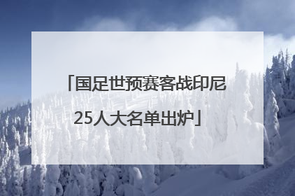 国足世预赛客战印尼25人大名单出炉