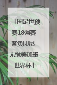 国足世预赛18强赛客负印尼 无缘美加墨世界杯