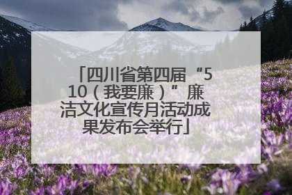 四川省第四届“510（我要廉）”廉洁文化宣传月活动成果发布会举行