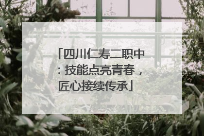 四川仁寿二职中：技能点亮青春，匠心接续传承