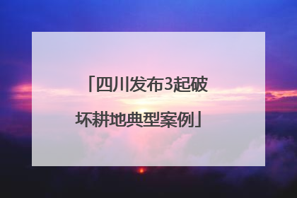 四川发布3起破坏耕地典型案例