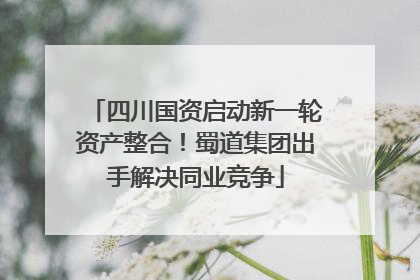 四川国资启动新一轮资产整合！蜀道集团出手解决同业竞争