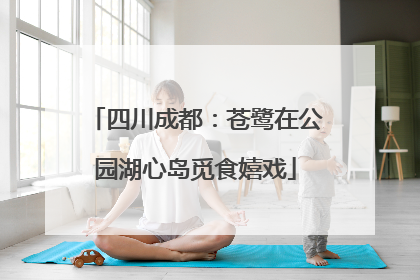 四川成都：苍鹭在公园湖心岛觅食嬉戏
