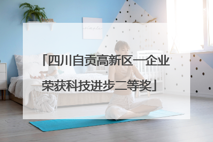 四川自贡高新区一企业荣获科技进步二等奖