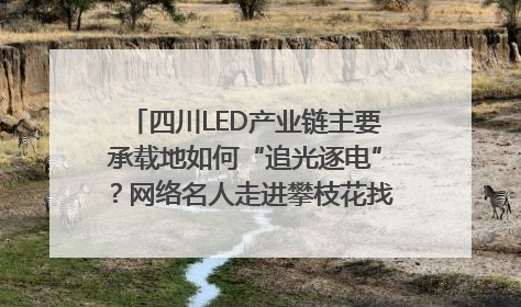 四川LED产业链主要承载地如何“追光逐电”？网络名人走进攀枝花找答案｜网络名人四川行