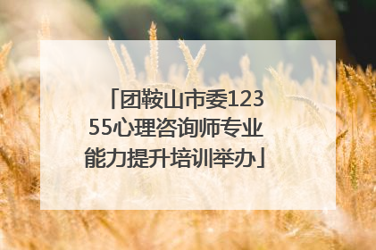 团鞍山市委12355心理咨询师专业能力提升培训举办