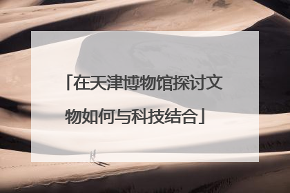 在天津博物馆探讨文物如何与科技结合