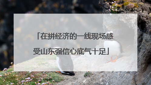 在拼经济的一线现场感受山东强信心底气十足