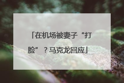 在机场被妻子“打脸”？马克龙回应