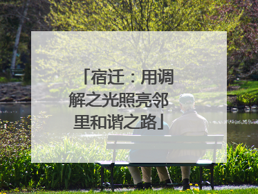 宿迁：用调解之光照亮邻里和谐之路