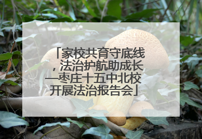 家校共育守底线，法治护航助成长—枣庄十五中北校开展法治报告会