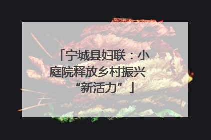 宁城县妇联：小庭院释放乡村振兴“新活力”