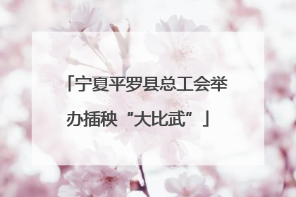 宁夏平罗县总工会举办插秧“大比武”