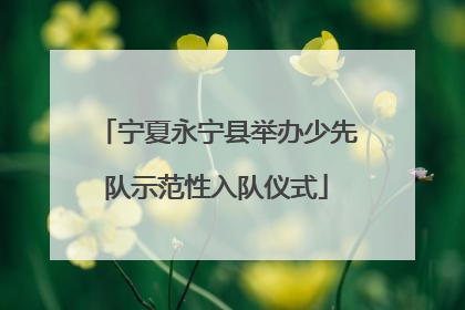 宁夏永宁县举办少先队示范性入队仪式