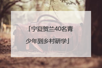 宁夏贺兰40名青少年到乡村研学